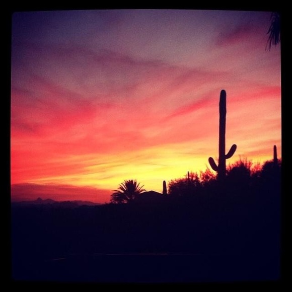 Meet your Posher, Amanda - Picture 1 of 1